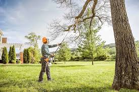 Best Arborist Consultation Services  in High Ridge, MO